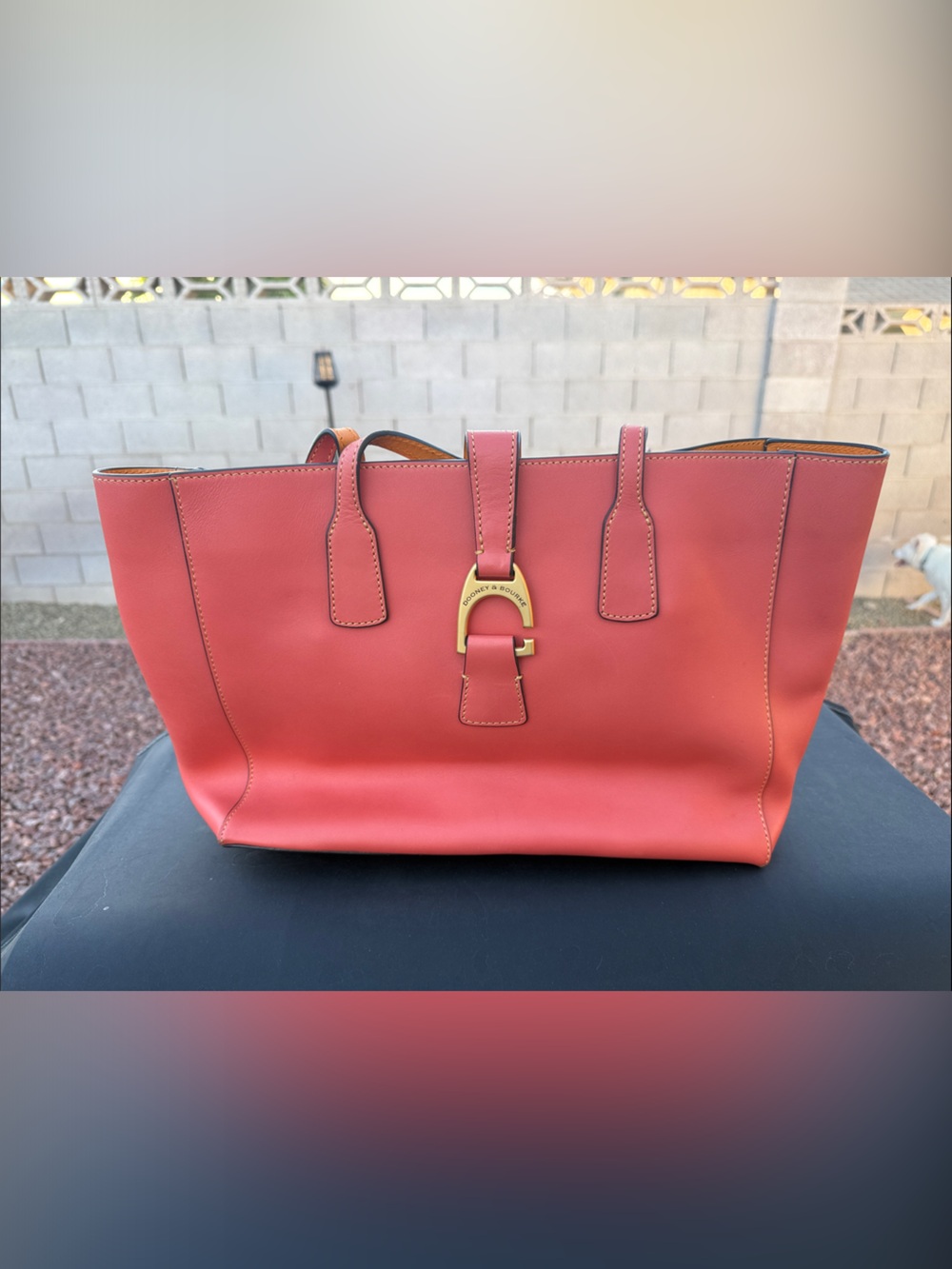 Dooney & Bourke Coral Leather Tote with Gold Hardware